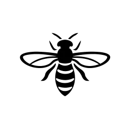 Bug Raiders